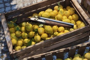 Новая часть «Мафии» официально анонсирована