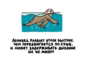 А вдруг ты не знал…