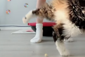 Забавное совпадение на тренировке