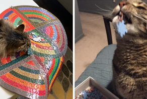 18 забавнейших случаев, когда коты решили помочь хозяевам собирать пазлы