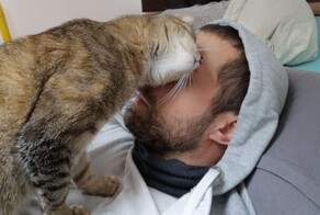 18 питомцев, у которых доброты хоть отбавляй