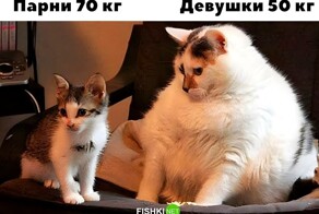 Скрины из соцсетей            