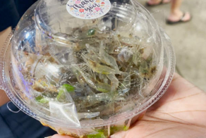 В Таиланде модно есть креветок живьем – гурманство и жестокость?