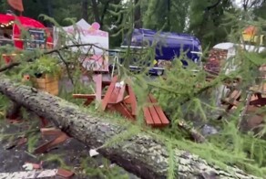 В Санкт-Петербурге дерево упало на мужчину, сидевшего за столом уличного кафе