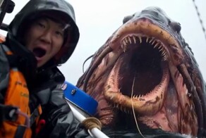 Морские чудовища по версии нейросети