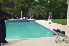 Восстание машин началось