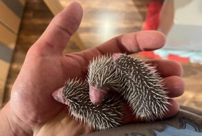 На общую тему&nbsp;