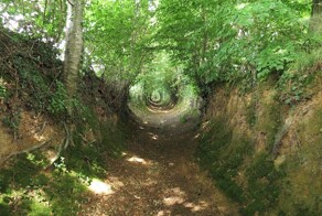 18 изображений, демонстрирующих воздействие времени