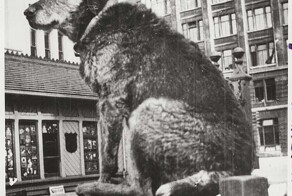 Фонтан «Странник Пэдди» – нежное и символичное посвящение великому новозеландскому путешественнику