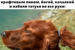 Скрины из соцсетей            