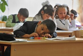 В Думе предложили перевести детей мигрантов на платное обучение