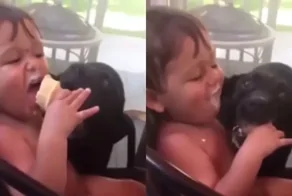 Кто успел, тот и съел