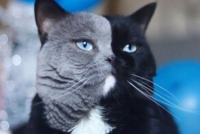 15 фотографий, в реальность которых невозможно поверить