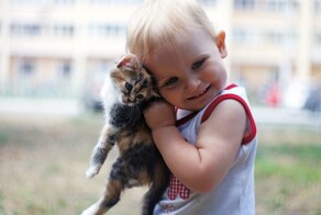 Котёнок и ребёнок: 10 простых правил, которые помогут сделать малыша и маленького питомца друзьями