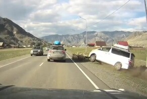 Чудесное спасение баранов