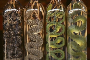 Необычные алкогольные напитки (10 фото)