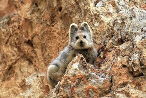 17 обычных и одновременно удивительных фотографий