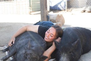 На общую тему&nbsp;