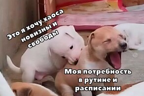 Намешалось
