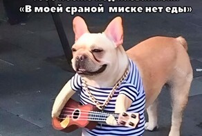 Скрины из соцсетей            