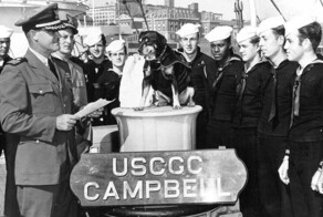 Пёс Синдбад – военнослужащий, символ и талисман