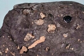 Камера в камне: японец пойман на горячем за шпионскую съёмку