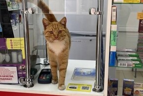В аптеках найдено идеальное лекарство от осенней хандры