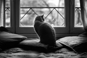 25 снимков, которые демонстрируют простую, но завораживающую магию чёрно-белых фото