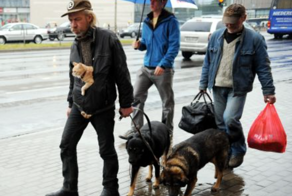 Бомжи затерроризировали ресторанный бизнес Латвии