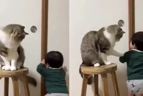 Пушистый нянь