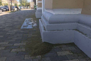 В чем причина августовского комариного апокалипсиса в Таганроге