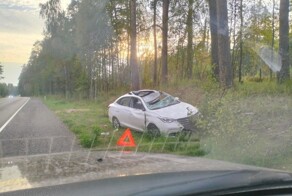 Лось попал под 2 автомобиля