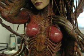 Профессиональный косплей (97 фото)