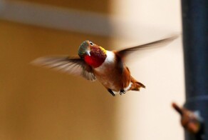 На общую тему&nbsp;