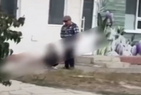 Наш ответ берлинскому фестивалю фурри: в Волгодонске бабушка вывела внука-квадробера на поводке