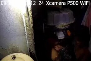 Женщина два часа боролась с четырёхметровым питоном, который пытался её задушить