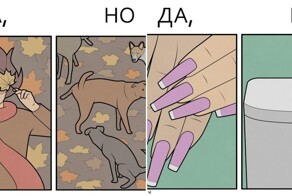 Комиксы "Да, Но", показывающие неприглядную сторону жизни