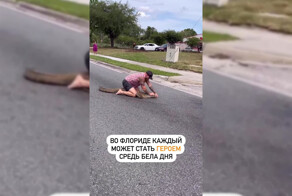 Как правильно ловить крокодила