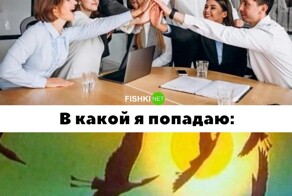 Скрины из соцсетей            