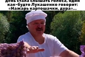 Улыбатор