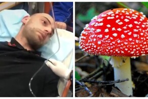 Айтишник поехал на мухоморный ретрит в Сочи и умер