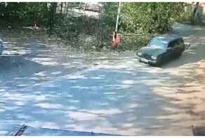 В Подмосковье мужчина привязал двух собак к машине и протащил по асфальту