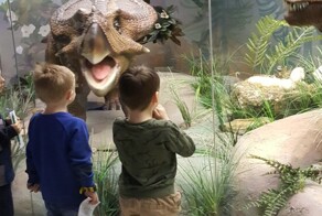 "Это безбожие": в РПЦ призвали не водить детей в Дарвиновский музей