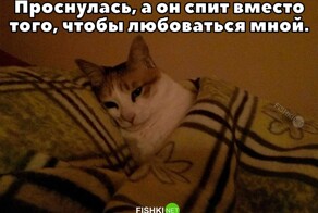 Пусть понедельник будет добрым !