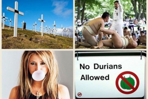 Странные законы мира (12 фото)