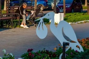 Правительство поддержало законопроект о штрафах за пропаганду чайлд-фри