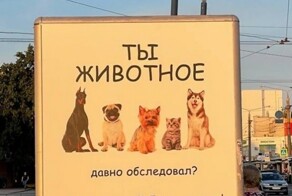 Отдельный жанр