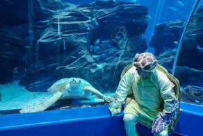 Новое направление в квадробике