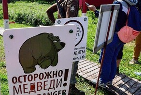 Медведи заполонили Камчатку