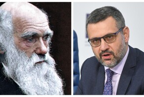 Представитель РПЦ высказался об изучении теории эволюции в школе